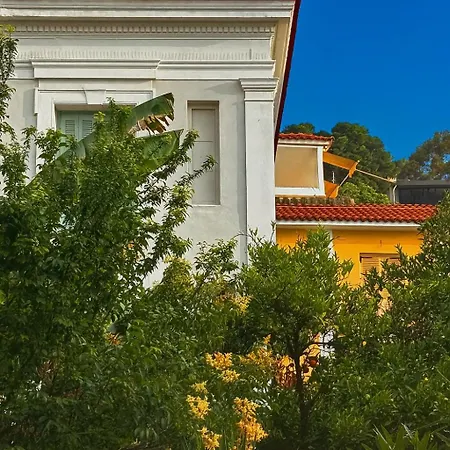 Daire Sophie's Choice